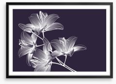 Moonlight lilies Framed Art Print 288416700