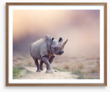 Rhino rumba Framed Art Print 290423380