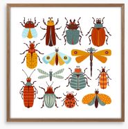 Beetles and butterflies Framed Art Print 292517876