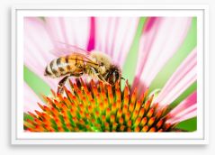 Insects Framed Art Print 293692228