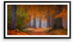 Autumn Framed Art Print 294148298