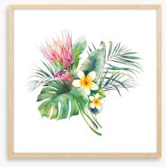 Protea in the palms II Framed Art Print 297754641