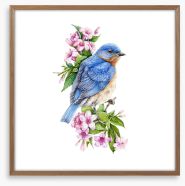Birds Framed Art Print 298369985