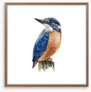 The kingfisher perch Framed Art Print 298668654