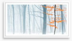 Forests Framed Art Print 299399723