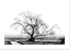 Trees Art Print 310980588
