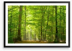 Lush green forest Framed Art Print 31250020