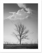 Trees Art Print 315435287