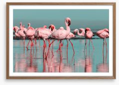 Birds Framed Art Print 317295059