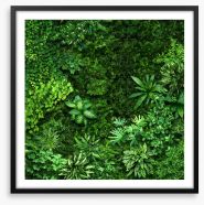 Leafy greens Framed Art Print 320944862