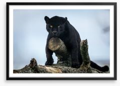 Nature of the beast Framed Art Print 328526161