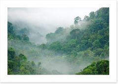 Mist in the rainforest Art Print 33113644
