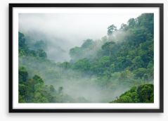 Mist in the rainforest Framed Art Print 33113644