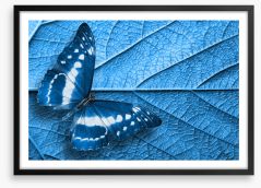 Butterflies Framed Art Print 340371387