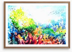 Colourful coral Framed Art Print 34295940