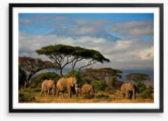Mount Kilimanjaro elephants Framed Art Print 34914448