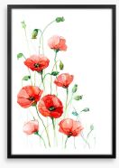 Climbing poppies Framed Art Print 36227309