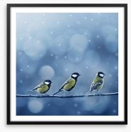 Titmouse birds in the snow Framed Art Print 37426256