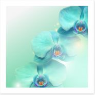 Floral Art Print 37438633