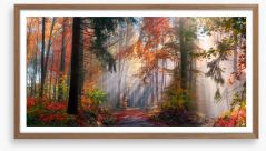 Autumn shining through Framed Art Print 377309013