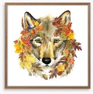 Autumn wolf Framed Art Print 378087264