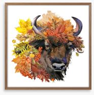 Autumn bull Framed Art Print 378087347