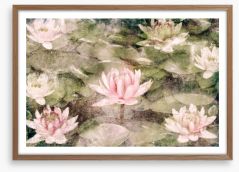 Water Lily dreams Framed Art Print 38390987