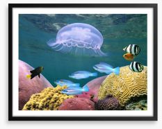 Underwater Framed Art Print 38541017