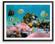 Underwater Framed Art Print 39279363