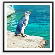 Little penguin blue Framed Art Print 39473310