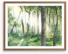 Forest of light II Framed Art Print 394964911