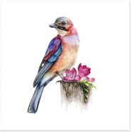 Birds Art Print 395052189