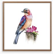 The jay bird perch Framed Art Print 395052189