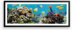 Caribbean coral panorama Framed Art Print 39646629