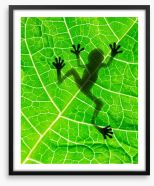 Frog on the leaf Framed Art Print 39685232