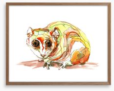 Pensive possum Framed Art Print 39762771