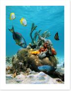 Underwater Art Print 40012948