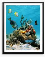 Underwater Framed Art Print 40012948