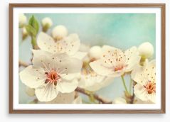Cherry blossoms Framed Art Print 40136004