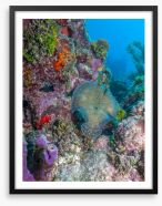 Underwater Framed Art Print 403415792
