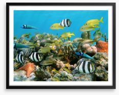 Underwater Framed Art Print 40441780