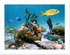 Underwater Art Print 40441812