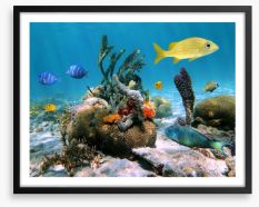 Underwater Framed Art Print 40441812