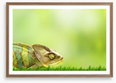 Chameleon crawl Framed Art Print 40462949