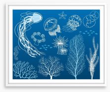 Dance of the jellyfish Framed Art Print 40474219