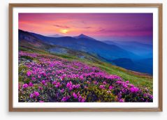 Mountain meadow sunrise Framed Art Print 40792259