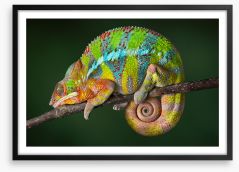Chameleon snooze Framed Art Print 40913001