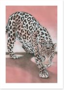 Animals Art Print 411556762