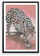 Animals Framed Art Print 411556762