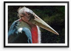 Marabou stork Framed Art Print 413042736